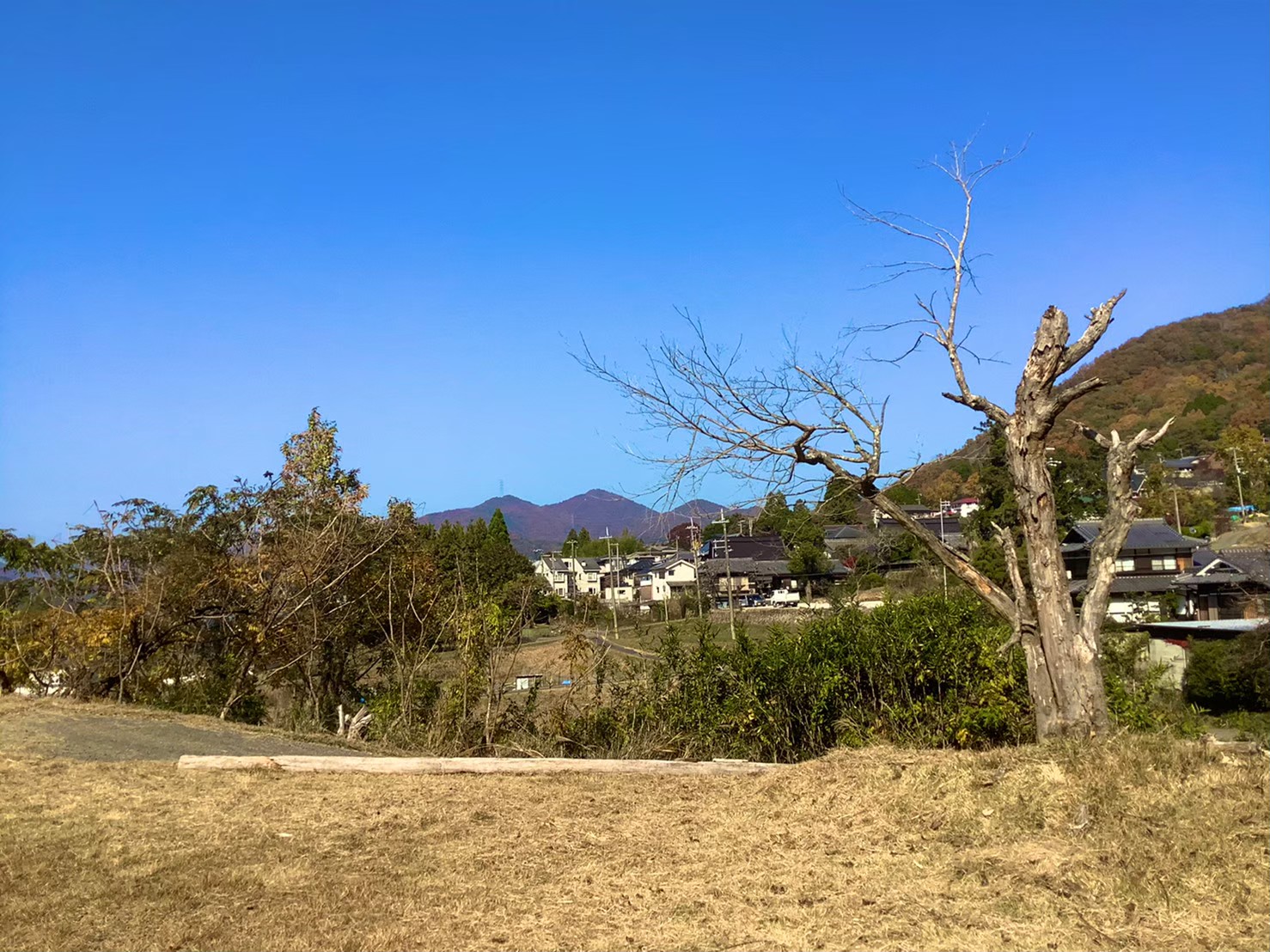 自然の風景